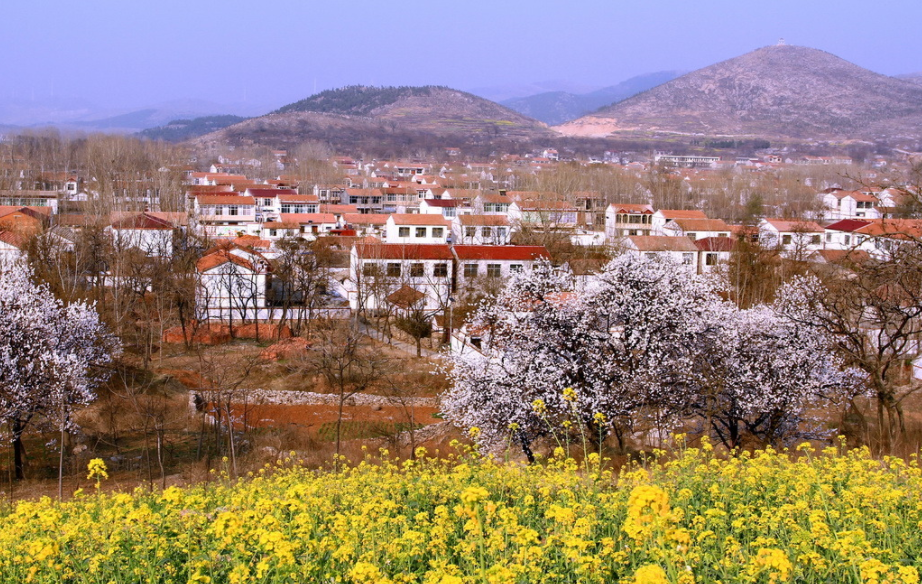 其实,在上世纪80年代,南山村还是当地的贫困村,不仅村民少,耕地也少.