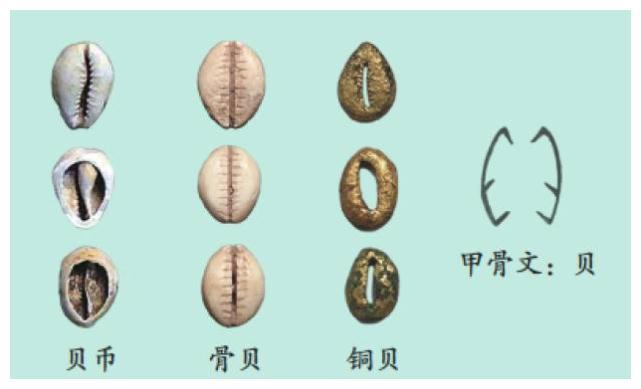 在商朝实行"朋贝"的制度,为了能够让人们方便换算,1朋就等于5个的大