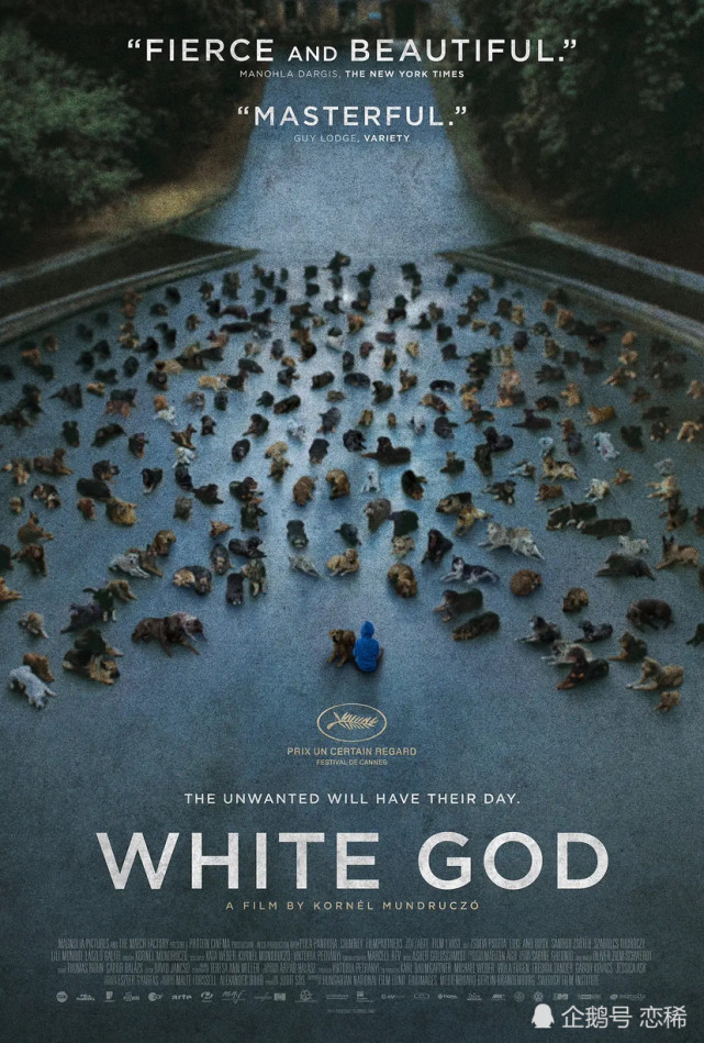 电影分享|9部豆瓣7分以上国外剧情电影推荐|豆瓣|巴西_娱乐|公羊|冰岛