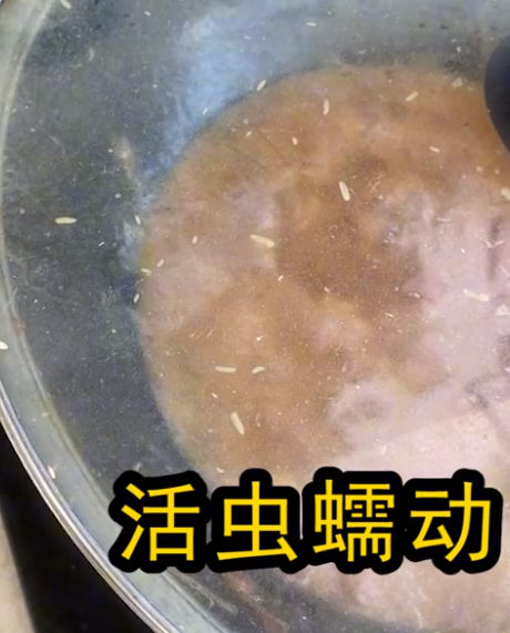 遼寧鐵嶺廚房食物發黴滿屋活蟲蠕動房東租客是幾個小姑娘