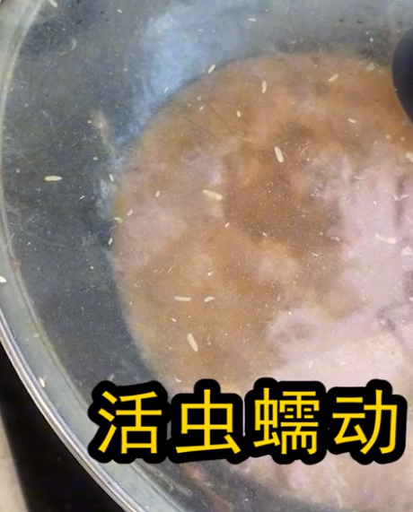 辽宁铁岭:厨房食物发霉,满屋活虫蠕动,房东:租客是几个小姑娘