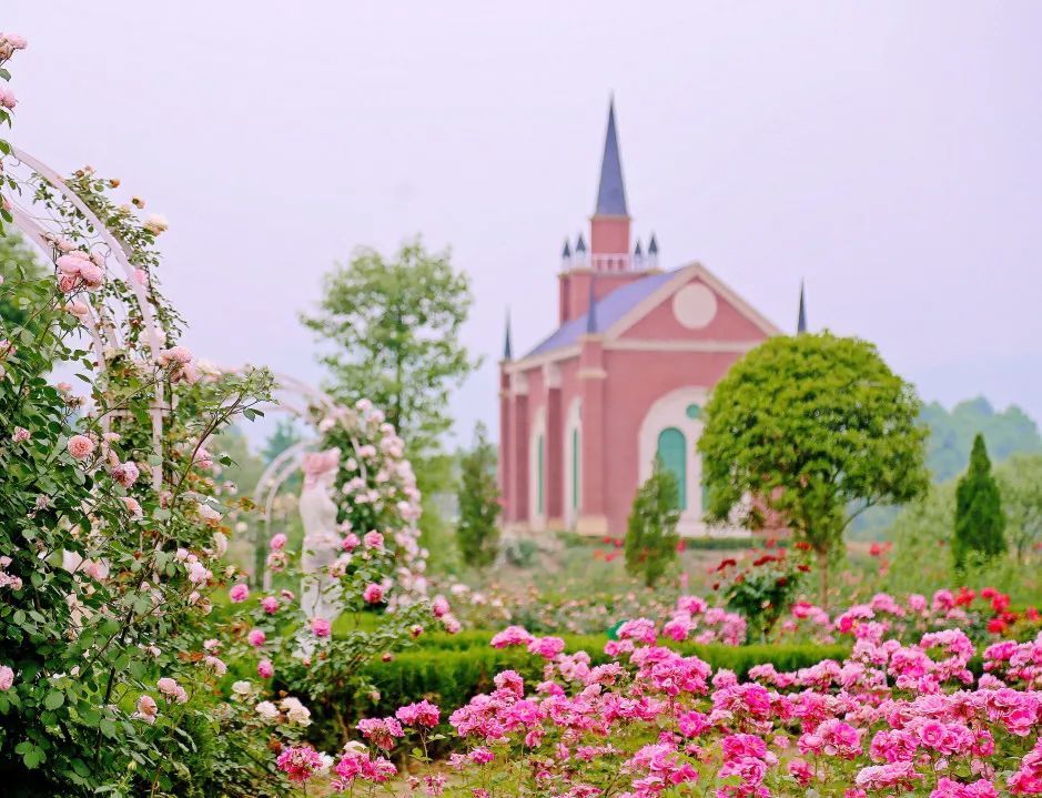 扬州九溪玫瑰园图片