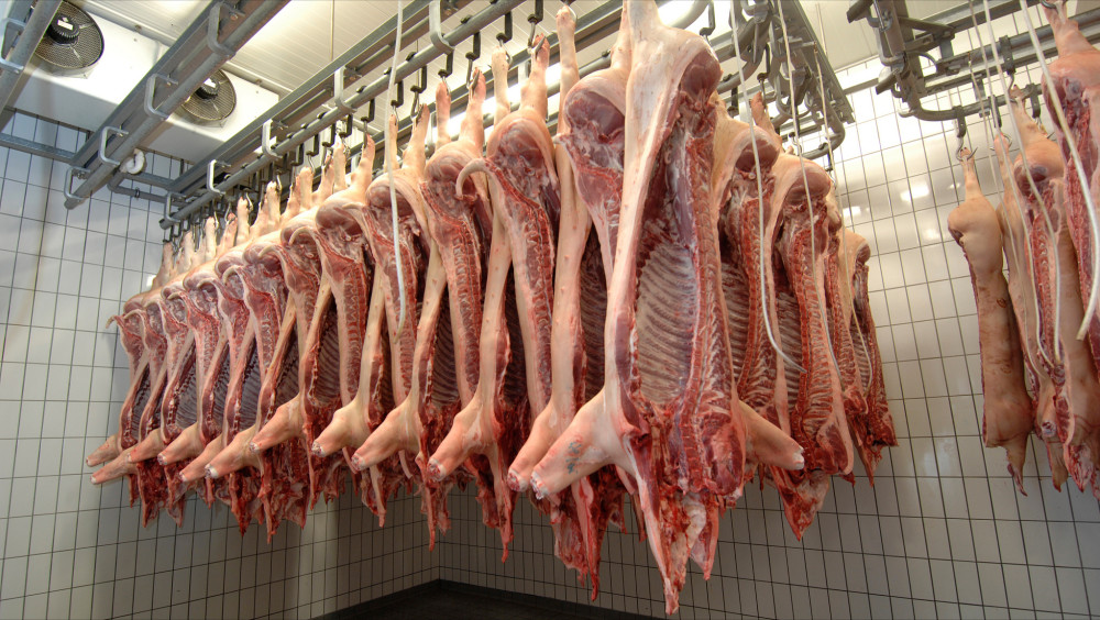 8月屠宰新规生效生猪统一这样处理农民还能自己杀猪吗