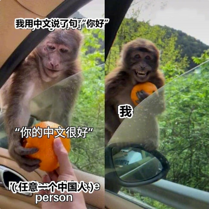 外国人用梗图吐槽中文难学,看完心疼又想笑,感谢自己是中国人_腾讯新