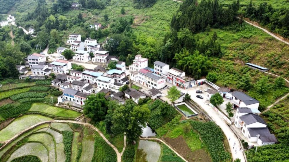 双晒双评龙角镇四共融合五定一整五化融合带来新变化