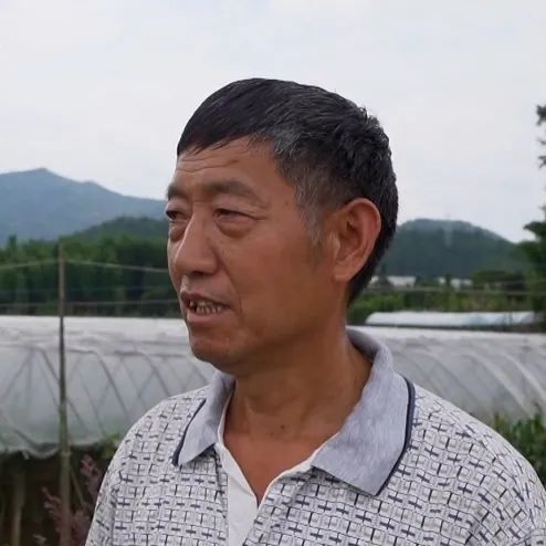 麻沙镇水南村葡萄种植户 林坤旺