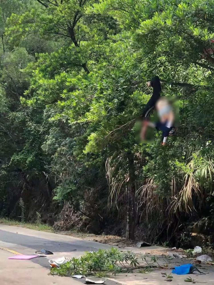 揭阳某路段发生交通事故,一女子被撞飞倒挂在树上