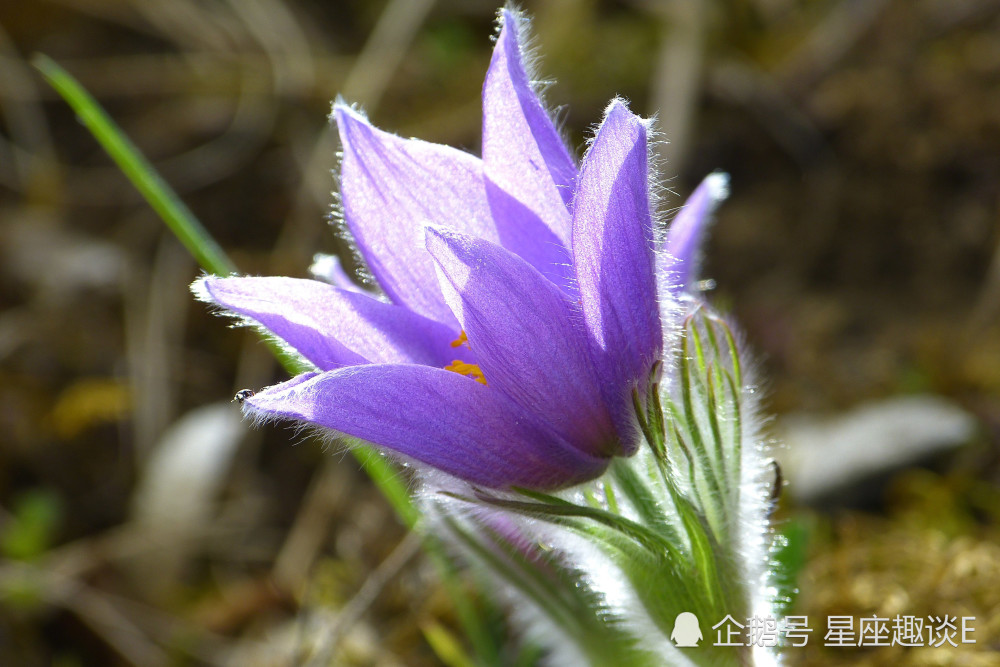 7月28日星座运势 巨蟹目光长远 天蝎勇往直前 双鱼积极向上 腾讯新闻