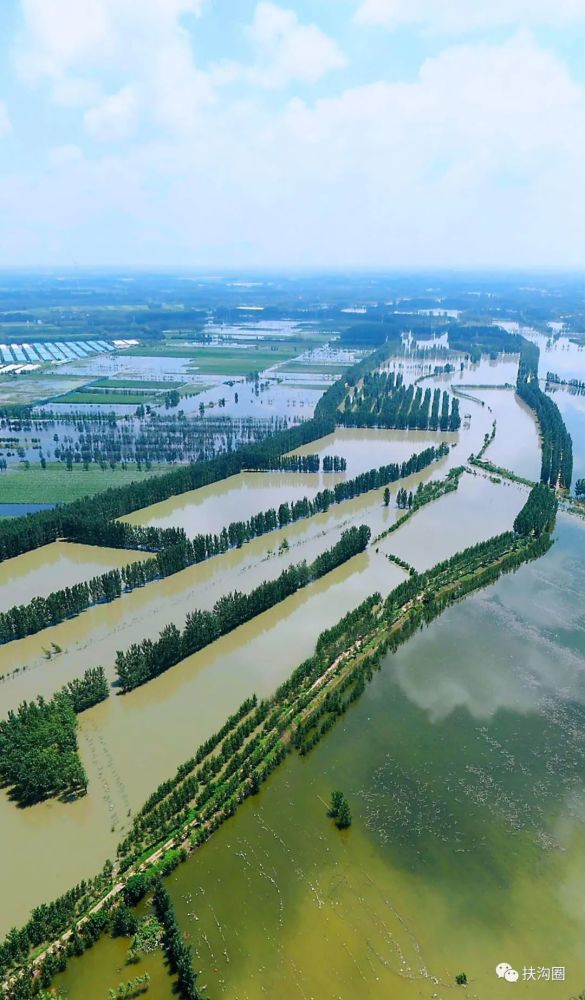 这里不是江南不是海滨,是泄洪后的扶沟