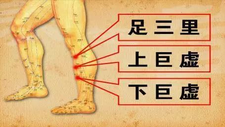 下巨虚穴:腰背疼痛,拍拍下巨虚穴