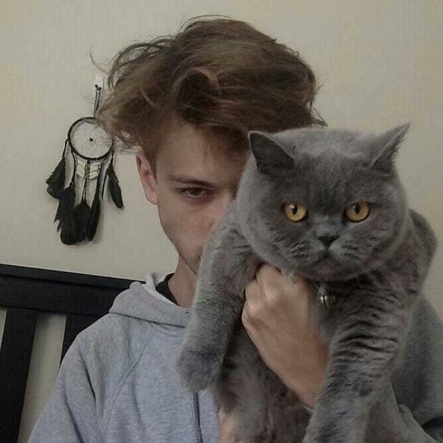 猫咪为什么更喜欢男生其实隐藏了这几个原因