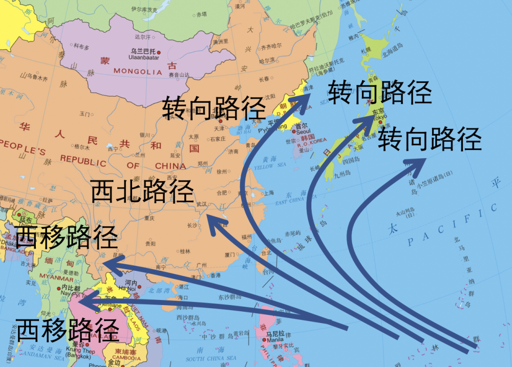 台风梅花路径图图片