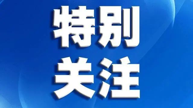 7月粤A牌摇号：个人节能车仍百分百中签