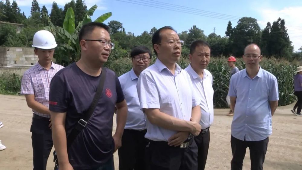 市政府副秘书长曾凡亚,副县长周登印及市县相关部门负责人参加调研.