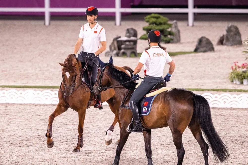 直击奥运马术三项赛第一次赛场实测,人马组合亮相状态佳_腾讯新闻