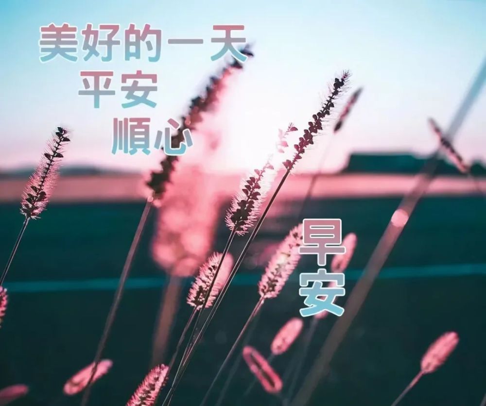 早上好朋友夏季特别漂亮的早上好表情包早上好问候语大全