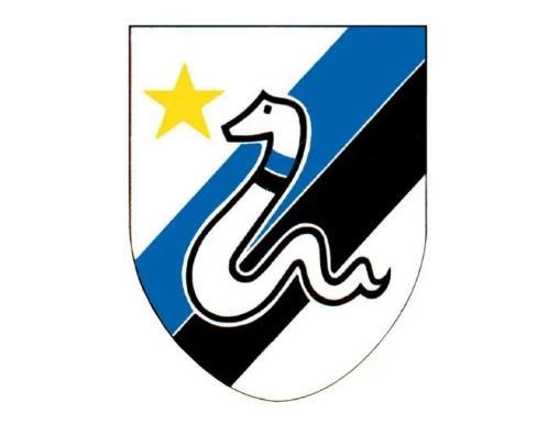 是因为国米有"蛇精灵"的称号,曾经在1928-29年还短暂使用过蛇形队徽