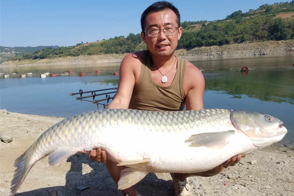 水果可以钓鱼吗 哪些水果钓鱼效果好 最适合钓大鱼的几种水果 近期新闻 晶创资讯网