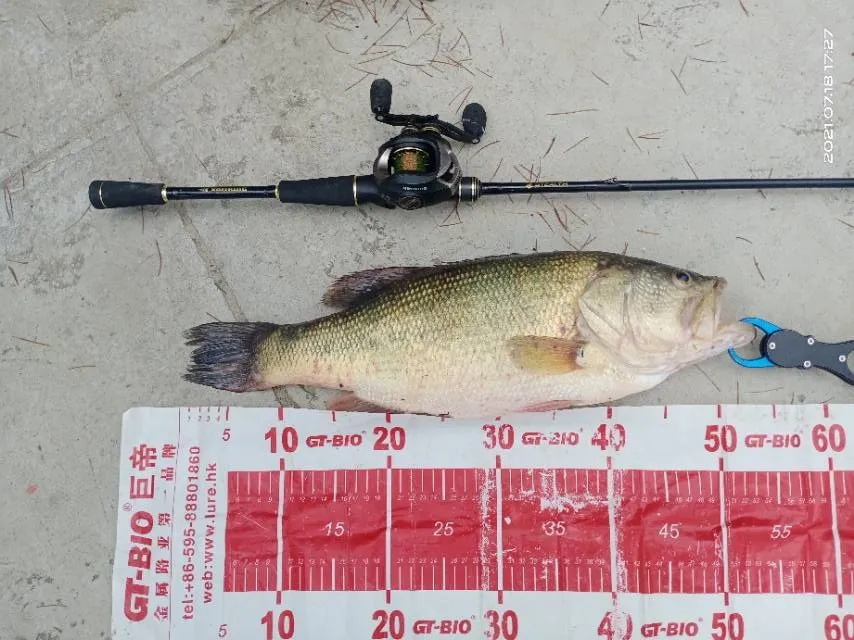 钓鱼名人排行榜_中国淡水钓鱼明星积分榜(即时榜2021-04-30)