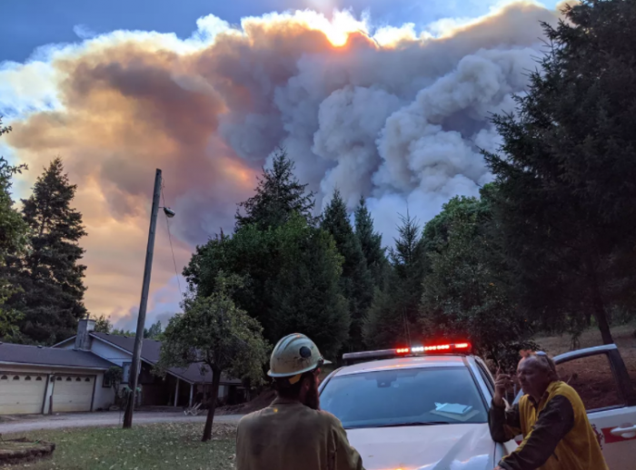 科学家重申气候紧急情况的警告 大流行对扭转地球自然系统的轨迹 腾讯新闻