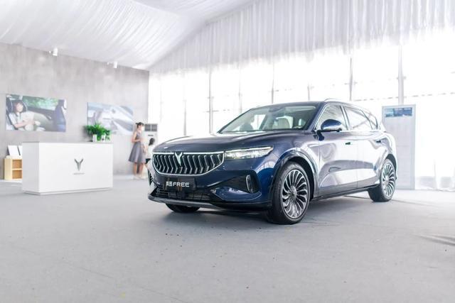 动如脱兔静若处子，岚图FREE试驾体验