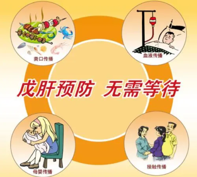 据中国疾控中心报道,消化道传播是戊型肝炎最常见途径,包括因粪便污染