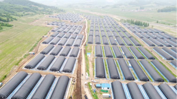 和龙市八家子镇南沟村因地制宜发展特色产业助力农民增收