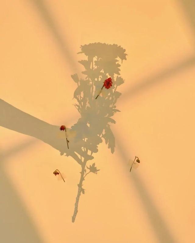 温柔治愈的朋友圈说说简单大方句句倾心