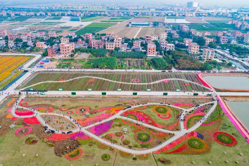 南沙区东涌镇党委书记姚镇海高质量打造南沙北大门现代新城