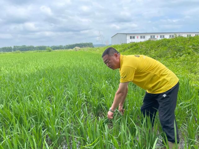 将心愿耕种在希望的田野上退役军人林忠民