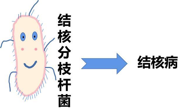 结核菌卡通图片