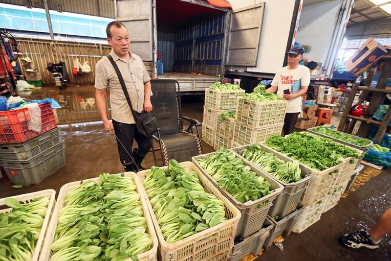 台风前后锁定高原夏菜主产区,上海江桥批发市场蔬菜品种多,价格稳