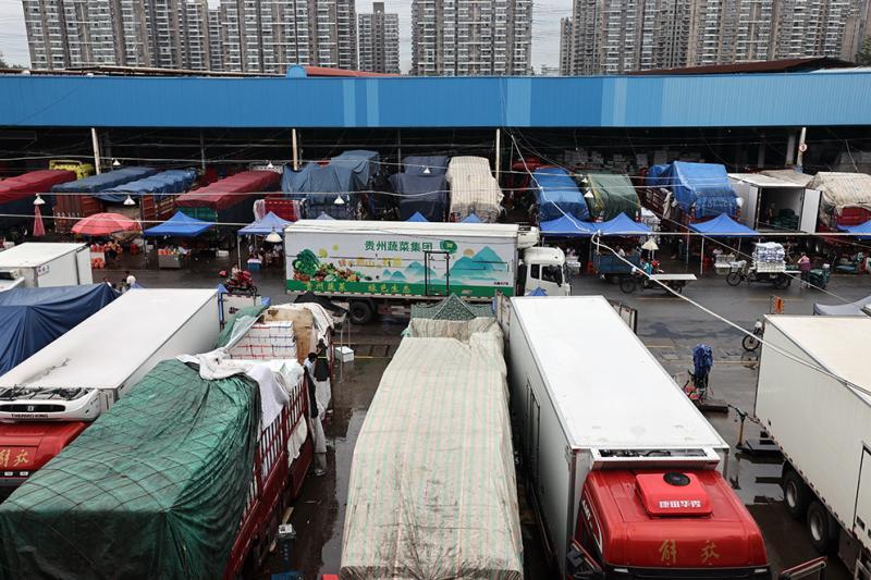 台风前后锁定高原夏菜主产区上海江桥批发市场蔬菜品种多价格稳