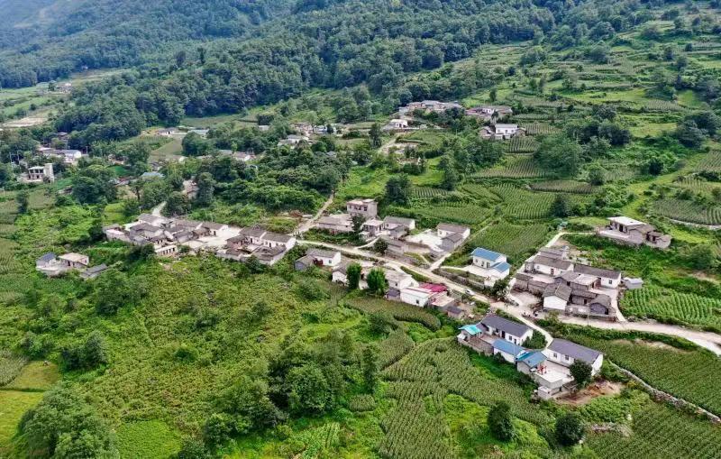 山东师范大学副教授刘东峰及宁海县委宣传部,县农业农村局,大佳何镇