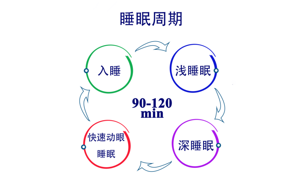 所以不同人在不同年龄段所需的睡眠时间都是不一样的,有人每晚睡10个