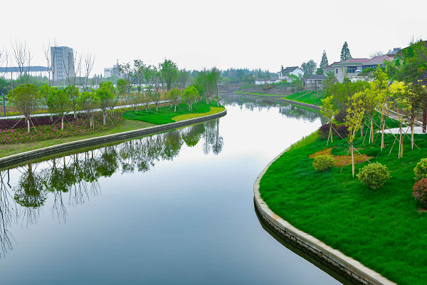 姜堰天目山街道为居民送去绿色福利