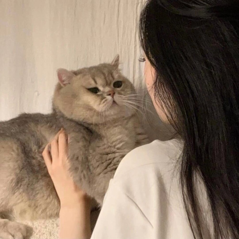 女头会为了我去陶白白搜星座么