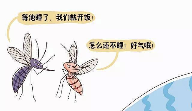 半亩塘|兰州市七里河区火星街小学|蚊子|文具盒|铅笔|姨夫|兔子