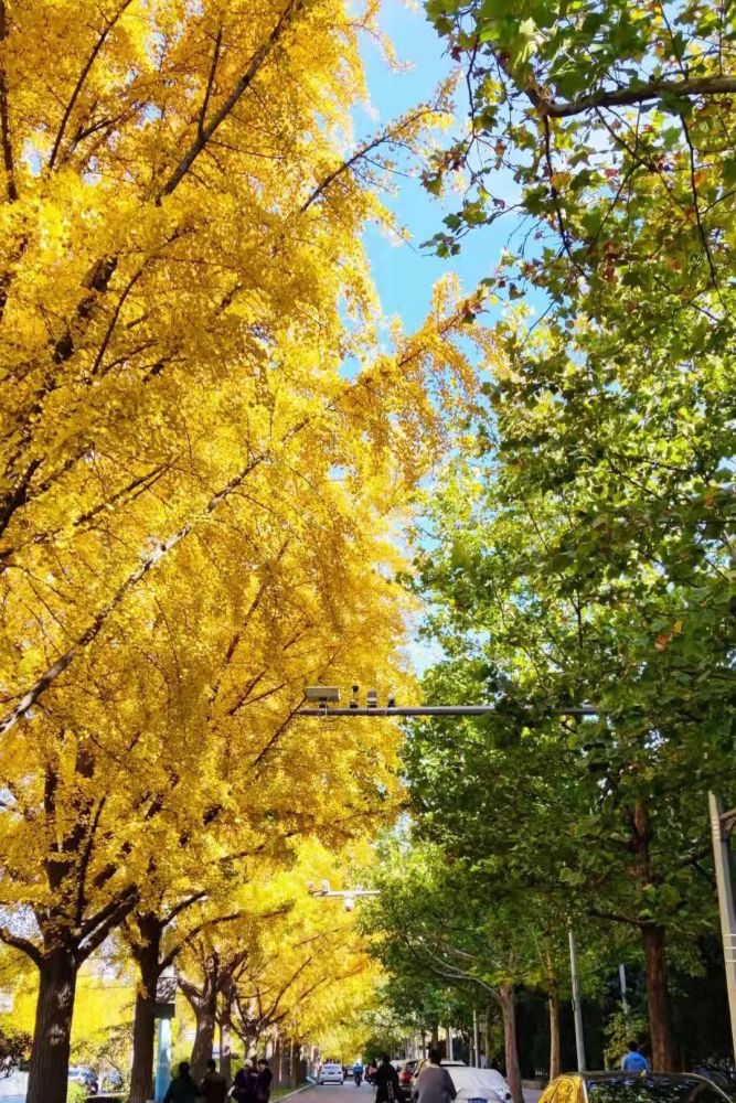 南北大众ID.市场AB面