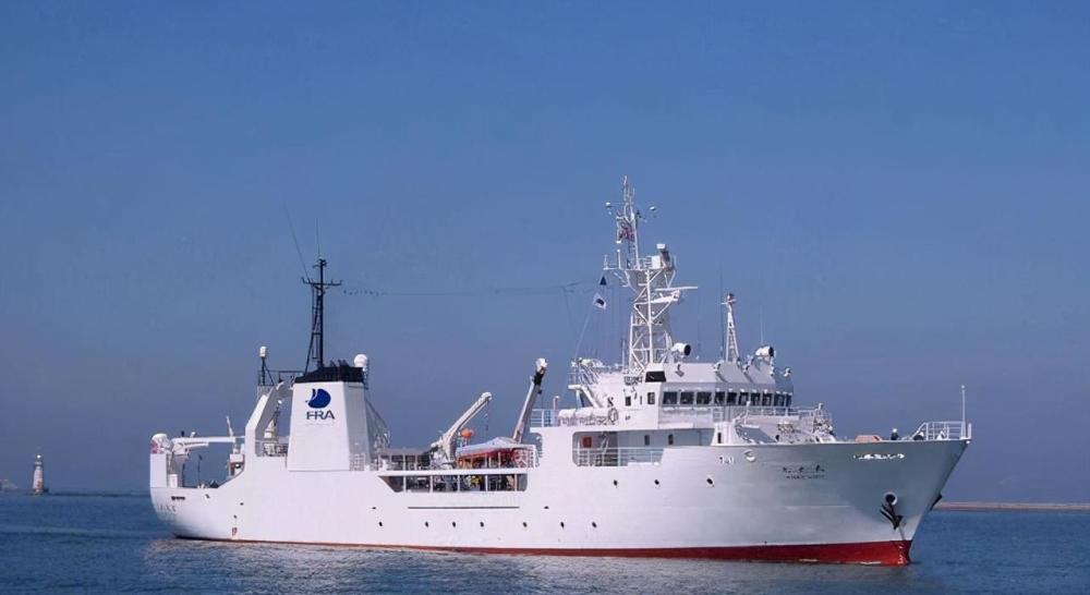 日本渔船捕获一海怪,扔回大海后船长被质疑,专家痛斥其丢了国宝