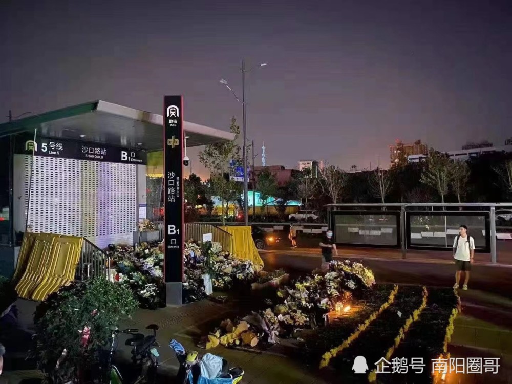 郑州地铁五号线的花朵,想起了周杰伦的:菊花残,满地伤,你的笑容已泛黄