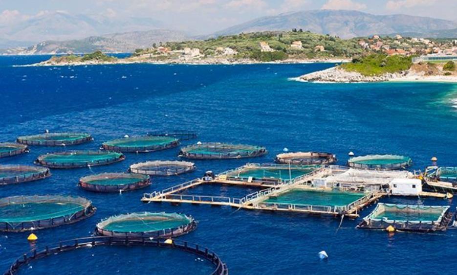 世界三大顶级渔场,其中一个距我们很近,还有个曾帮他们国家崛起