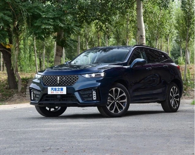 轴距2.95米，扭矩387N·m！四出排气是装饰，真秀！