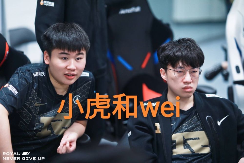 rng的版本要来了皇子和吸血鬼同时加强小虎和wei乐开了花