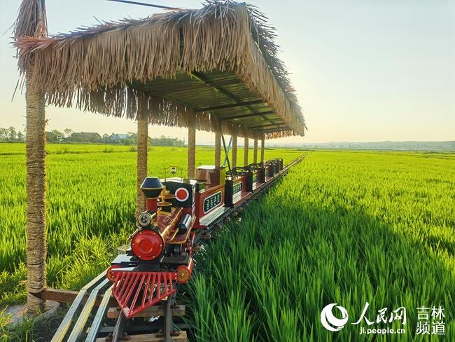 和龙农旅融合奏响乡村振兴进行曲