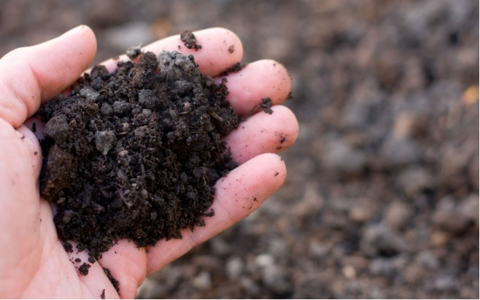 希望未来可以加大监管力度,让东北黑土盗挖现象越来越少,一直到彻底