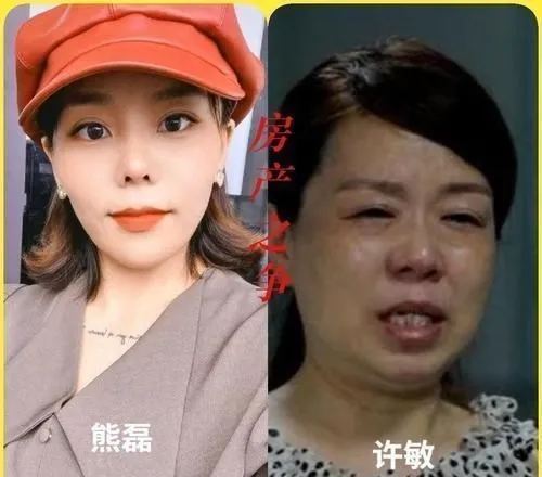 许敏房产之争开庭,她有可能会输,或许我们都高估了人性