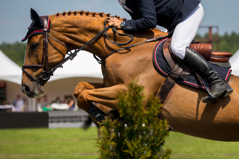 马术、度假一样不落，新中产培养孩子为何如此舍得？