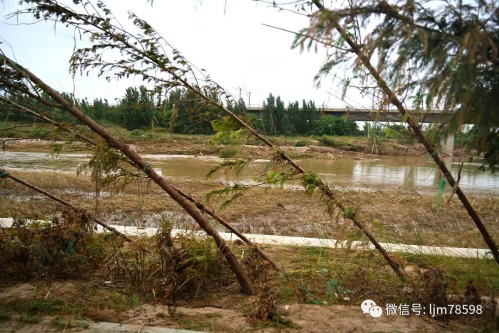 贾鲁河你坏了贾鲁的好名声灾后贾鲁河泄洪能力调查