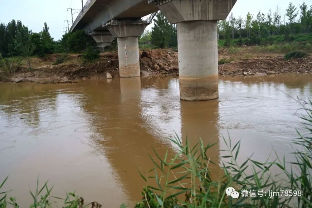 贾鲁河你坏了贾鲁的好名声灾后贾鲁河泄洪能力调查